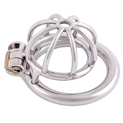ID: SK223 Male Chastity Device ID: SK223 Male Chastity Device