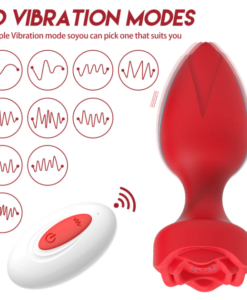 ID: SK012 Ros Anal plug with remote control