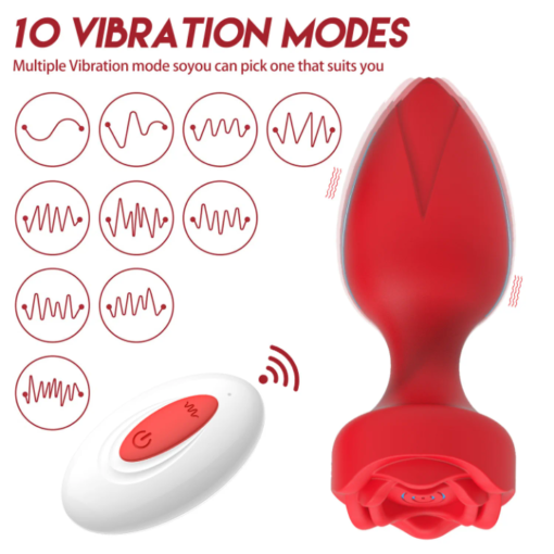 ID: SK012 Ros Anal plug with remote control  